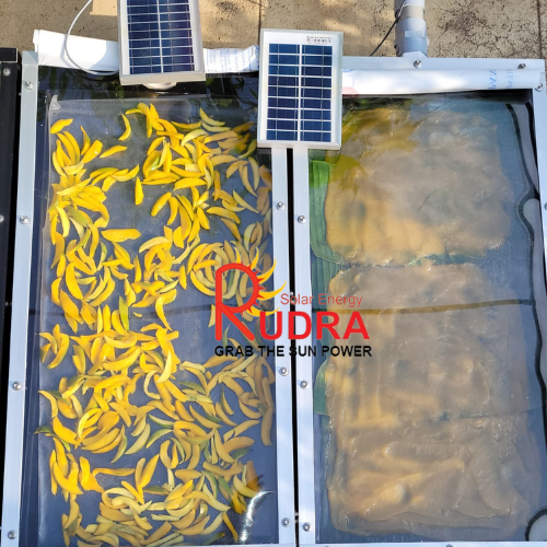 Mango Solar Dryer
