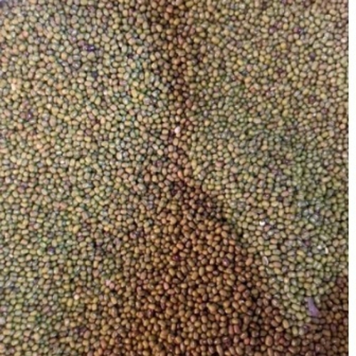 Moth Beans