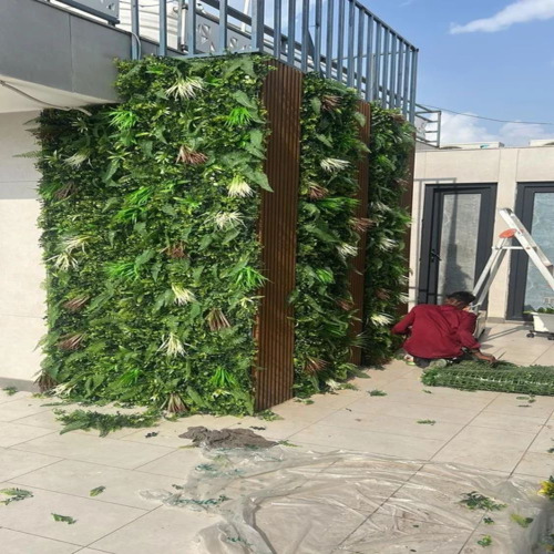 Terrace And Balcony Gardens