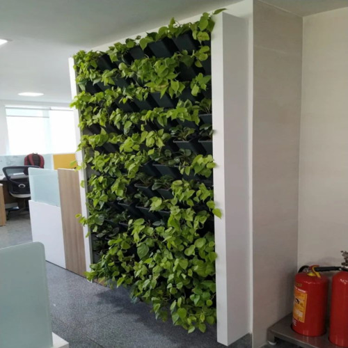 Vertical Garden Green Wall