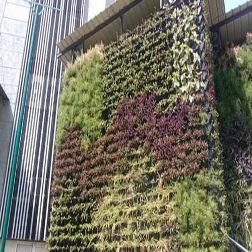 Vertical Garden Natural