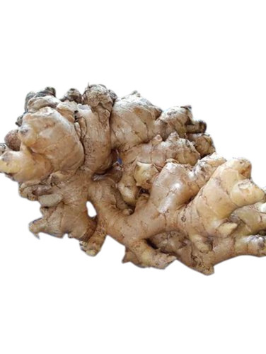 Fresh Ginger