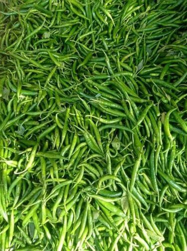 Fresh Green Chilli