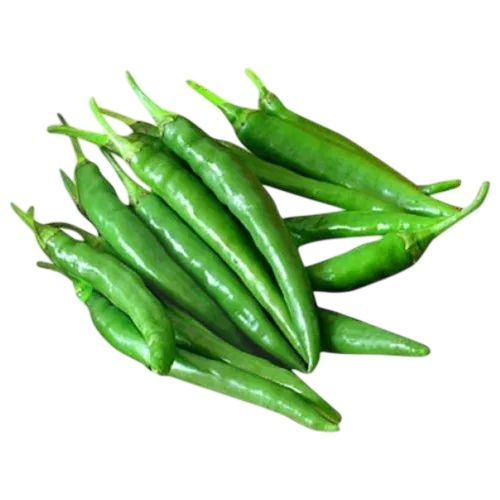 Fresh Green Chilliies