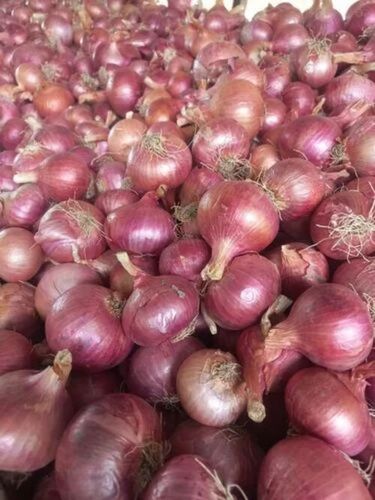 Fresh Nashik Pink Onion