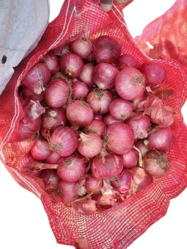 Nashik Pink Onion