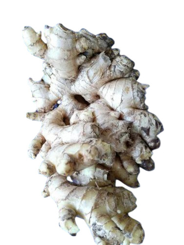 Natural Fresh Ginger
