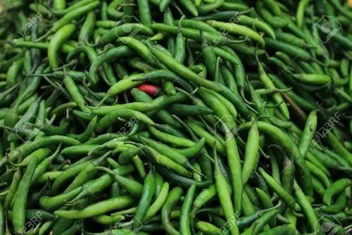 Natural Fresh Green Chilliies