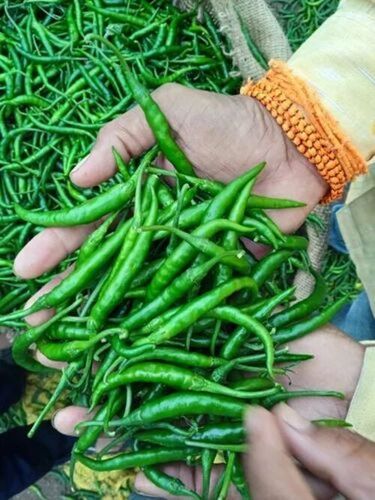 Natural Green Chilliies