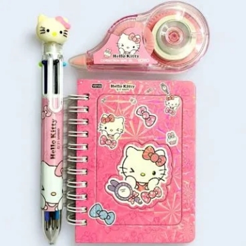 fancy diary