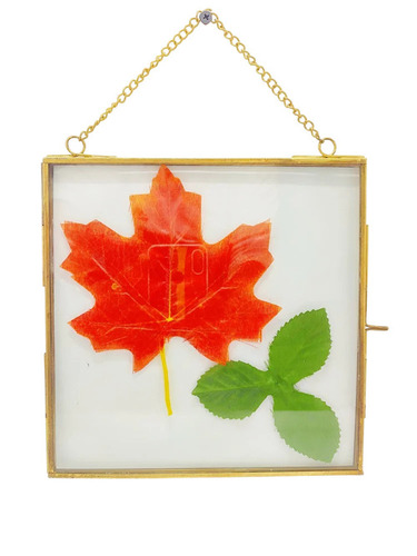 Wall Hanging Designer Photo Frames 5x5 Inch