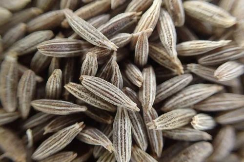 1 Kg Organic Cumin Seed