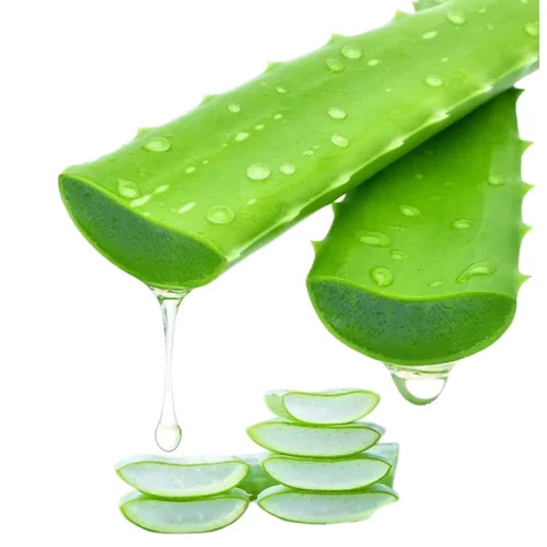 100% Pure Organic Aloe Vera Leaf