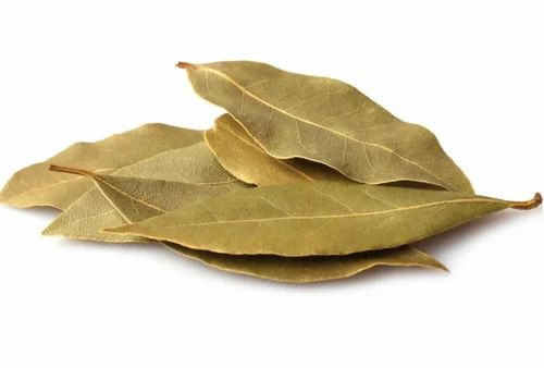 Bay Leaf Tej Patta