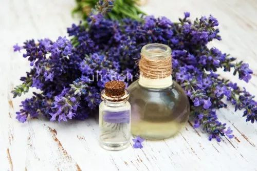 Bulgarian Lavender Essential Oil - 1kg to 180kg Packaging, 100% Pure, For Adult Females, Store in Dry Place