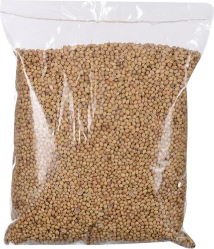 Coriander Seeds Dhaniya