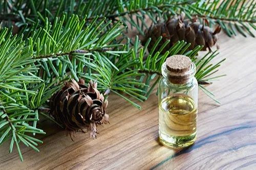 Fire Needle Essential Oil