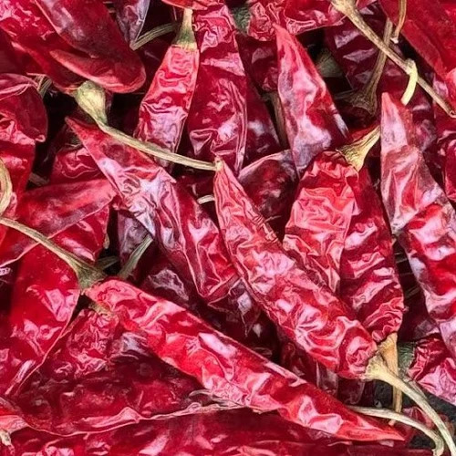 Guntur Dry Red Chilli