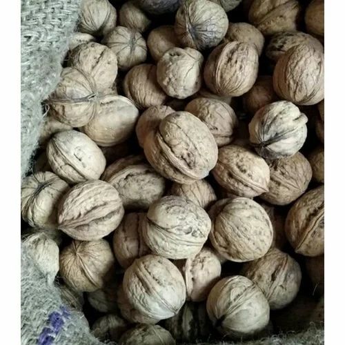 Kashmiri Walnut