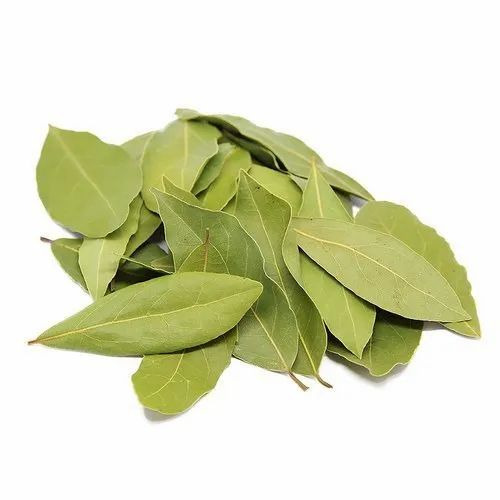 Laurel Bay Essential Oil