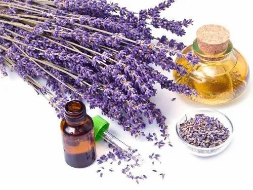 Lavandin Essential Oil - 1kg to 180kg Bottle, 100% Pure Oil | Aromatherapy, Adult Female Use, Dry Storage