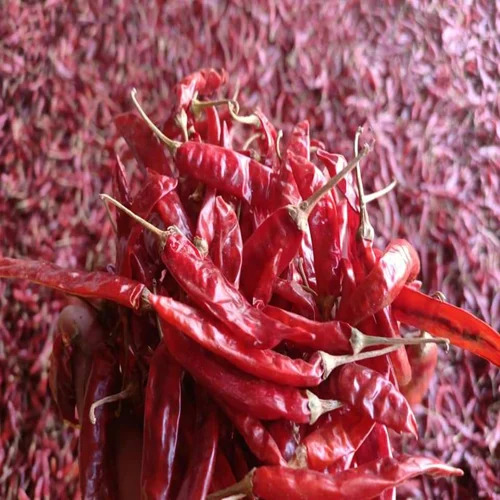 Organic Dry Red Chilli