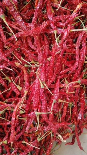 Organic Kashmiri Chilli