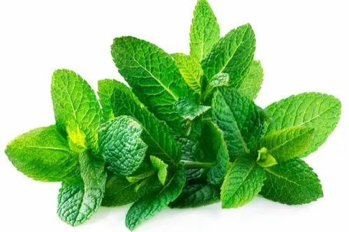 Peppermint Essential Oil