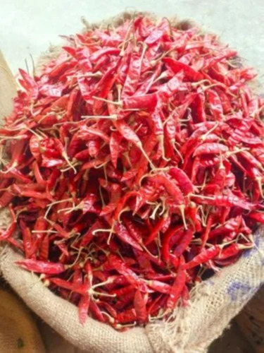 Pp Bag Hot Guntur Dry Red Chilli No 5