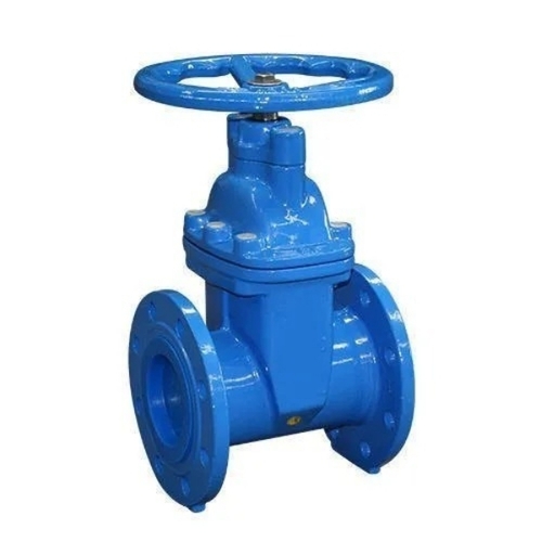 Cast Iron Valve