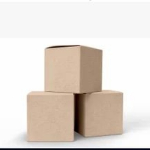 Corrugated Carton