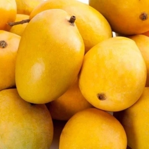 Alphonso Mangoes