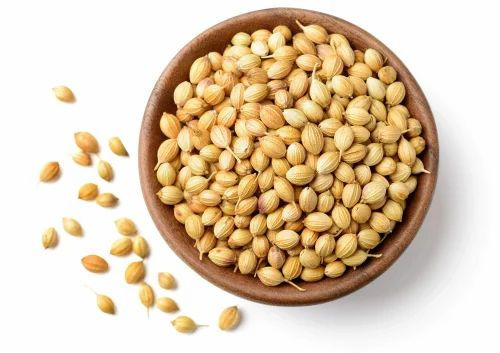 Coriander Seed