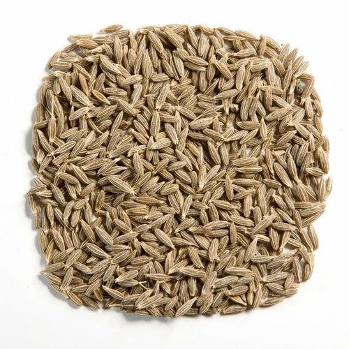 Cumin Seed