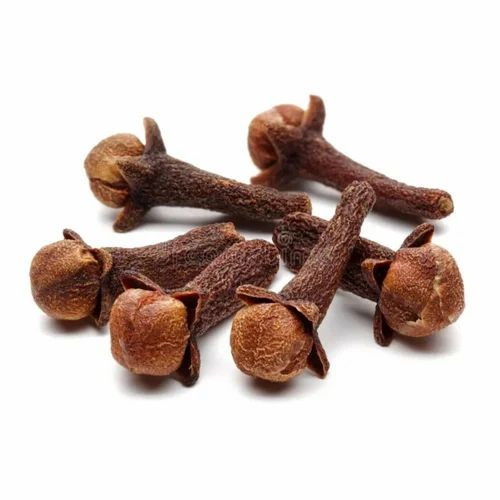 Dry Cloves By Enviroplex