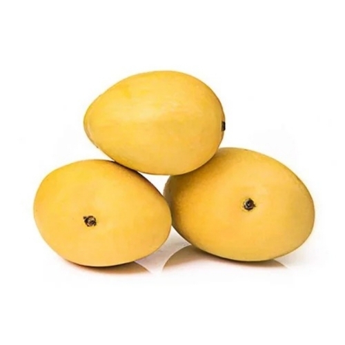 Fresh Mangoes