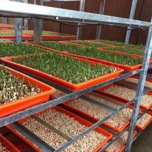 Hydrophonix Fodder System