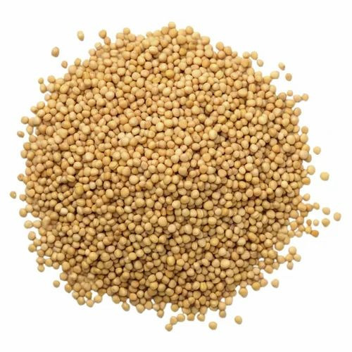 Mustard Seeds