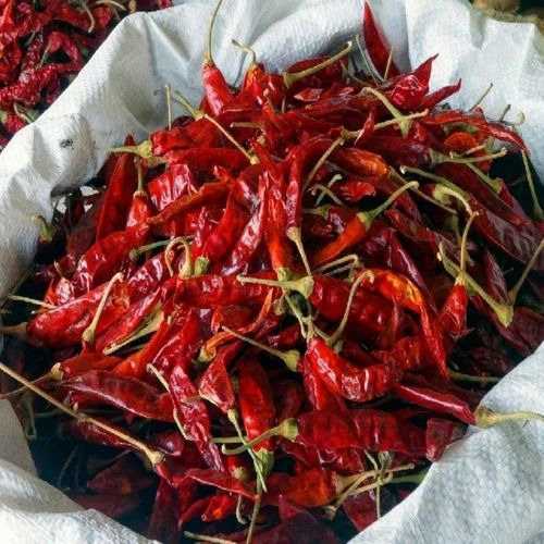 Teja Red Chilli