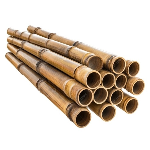 Bamboo