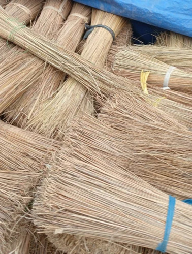Coconut Broom Raw Material