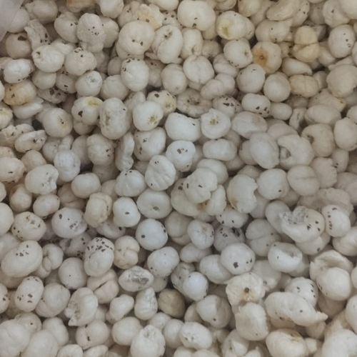 Fresh Makhana