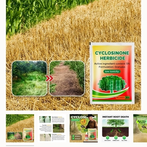 Cyclosinone Herbicide Pesticide