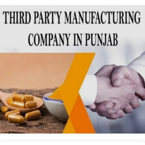 Third Party Manufacturing Services In Punjab