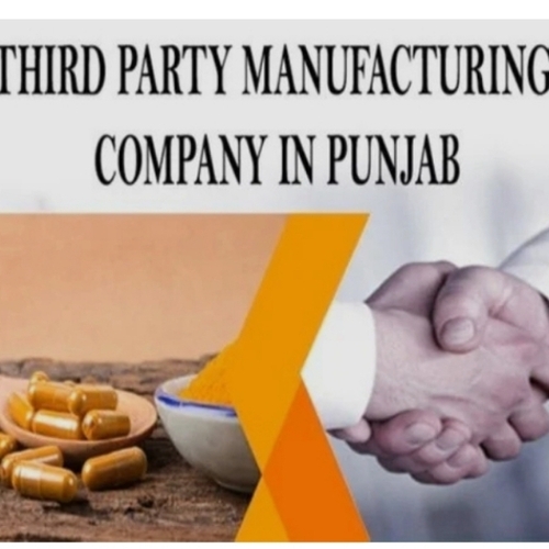 Third party manufacturing services in punjab