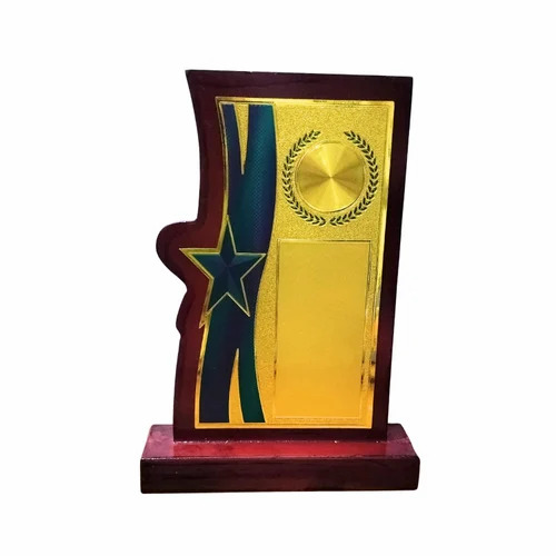 10 Inch Star Acrylic Trophy