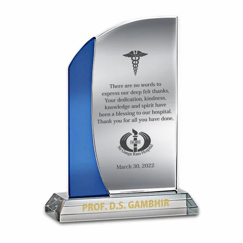 8.5 Inch Acrylic Trophy