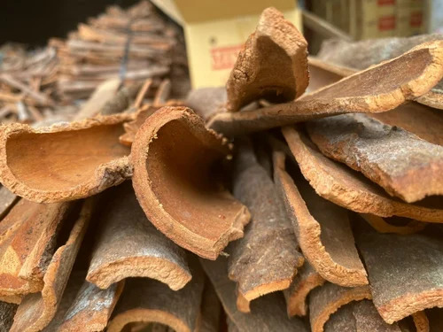 Dried Premium Split Cassia