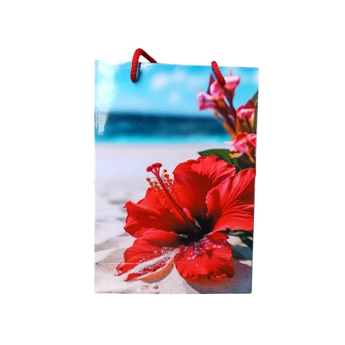 Duplex Board Floral Printed Paper Bag - Color: Multicolor