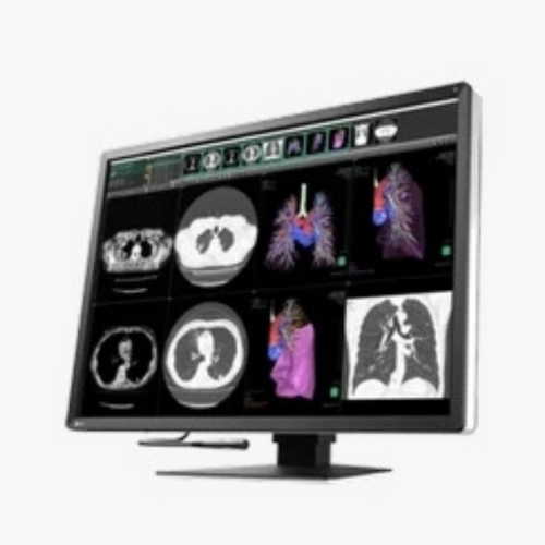 Eizo Radiforce Rx1270 Color Lcd Monitor